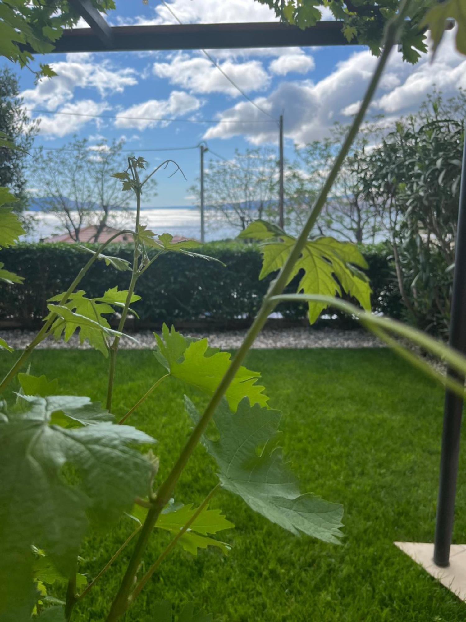 Apartman Mia Senj  Exterior photo